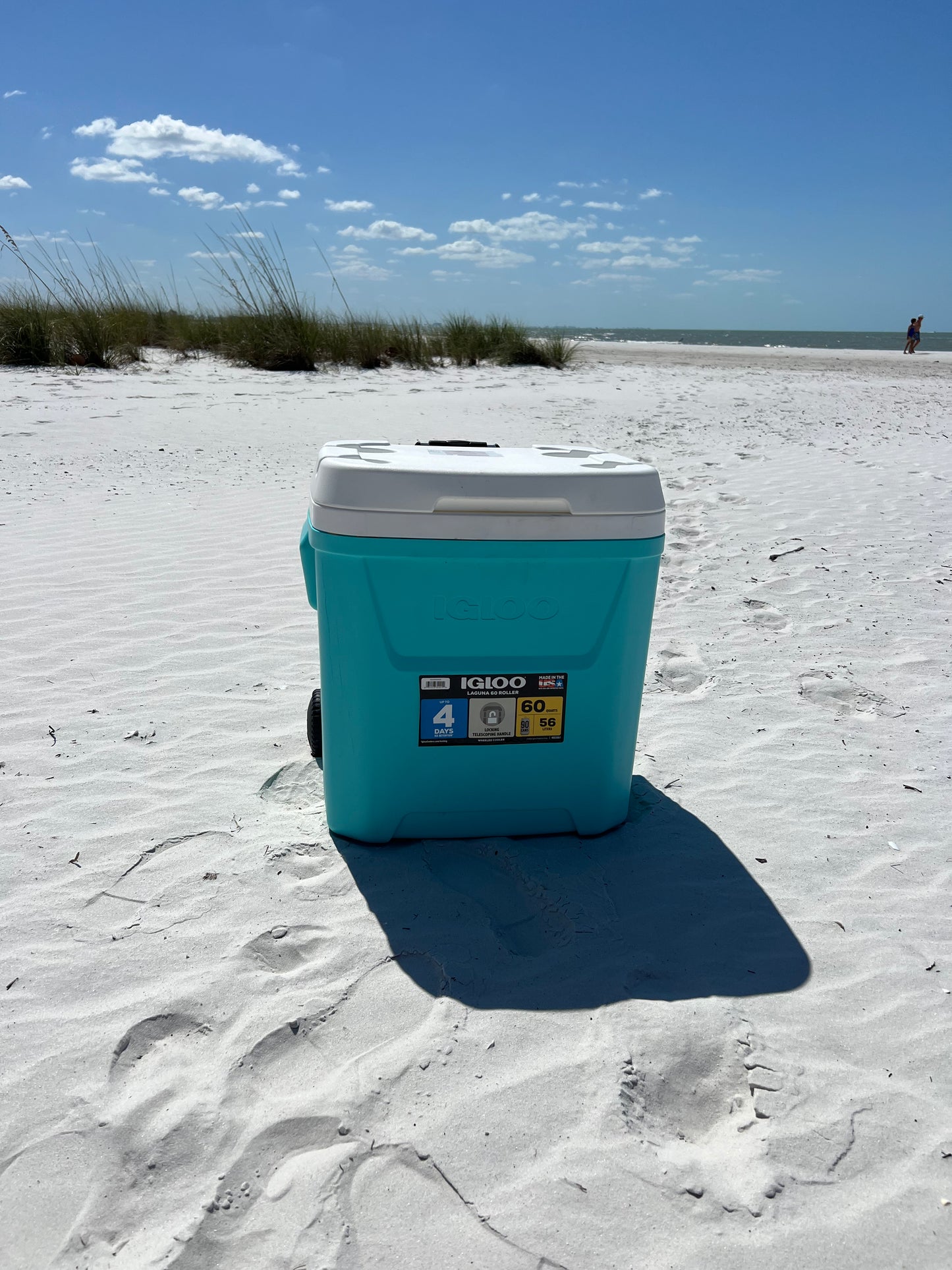 Beach Gear Large Cooler 60 quart